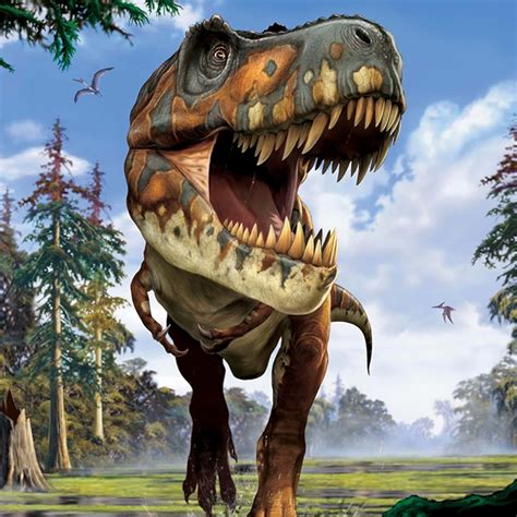 REX .